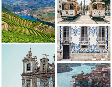 January 2026 Newsletter